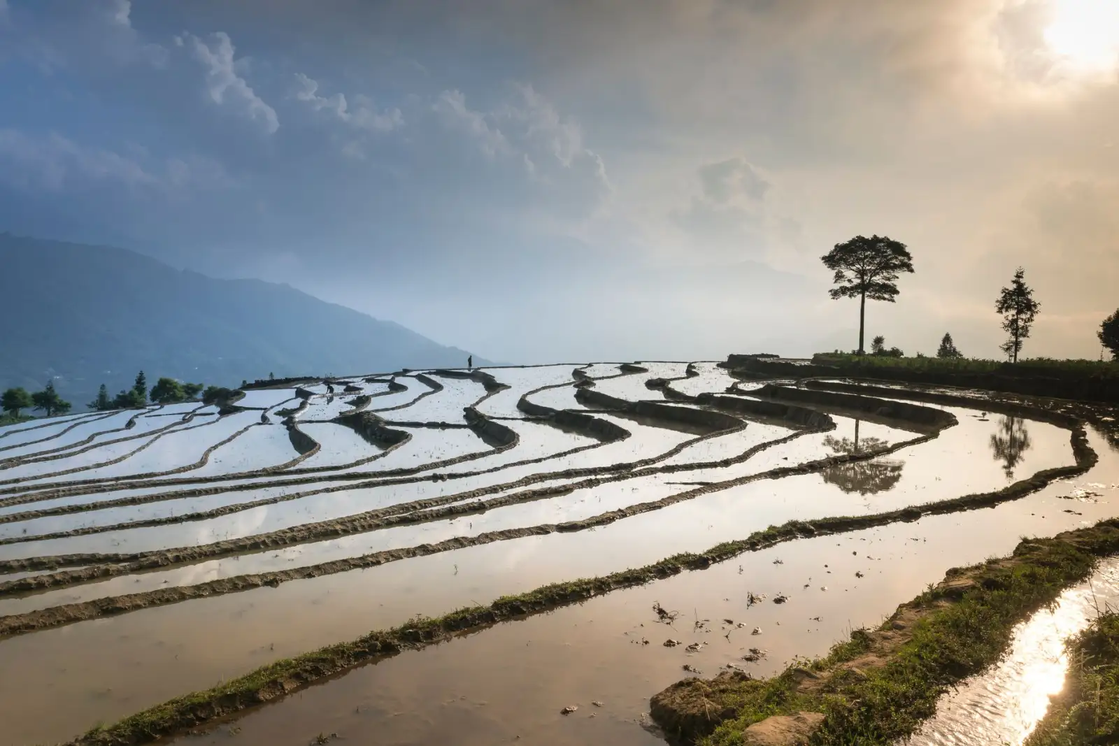 上海温洋贸易有限公司2025年休闲零食行业趋势与消费洞察