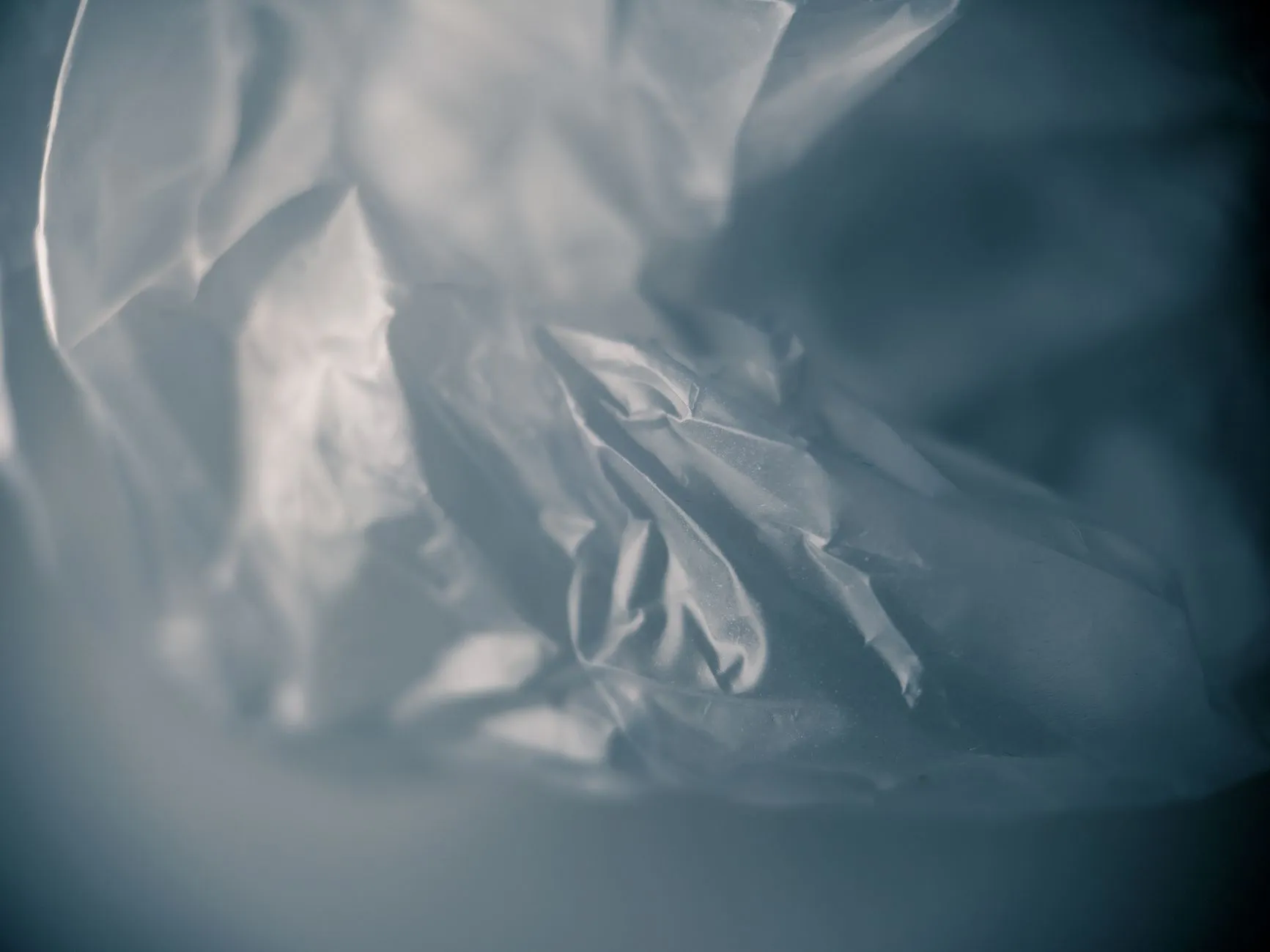上海温洋贸易有限公司曲奇饼干系列产品口味与配料对比分析正文配图 1